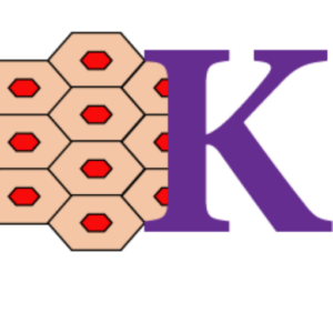 KBST Logo